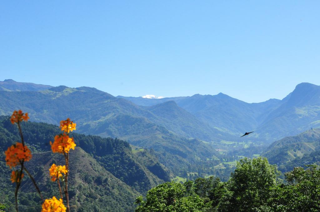 酒店 El Mirador Del Cocora Salento