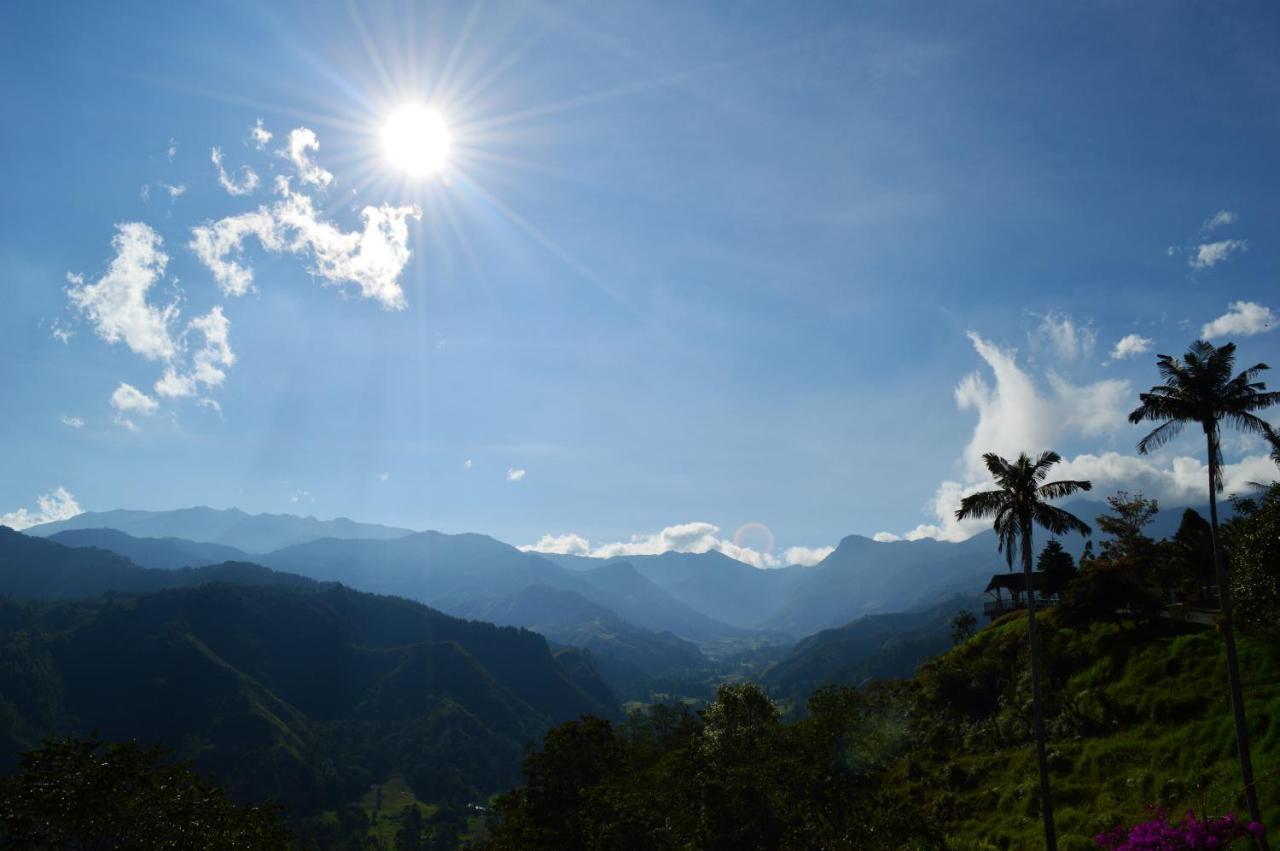 El Mirador Del Cocora